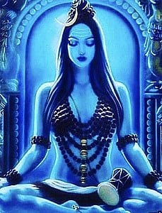 Profile photo for JD Partners7 LLC JDP