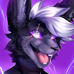 Profile photo for Logan Maynard