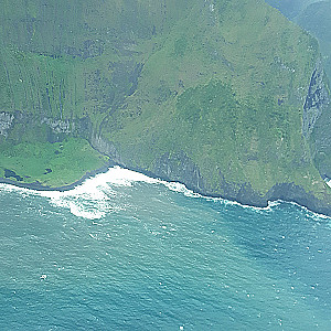 Profile photo for Miss Marshall