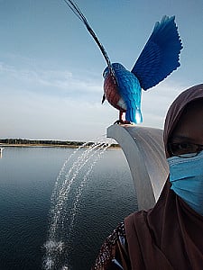 Profile photo for Syafieza Bt Abd Jalil