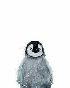 Profile photo for Aden Rajput