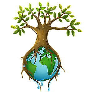 Profile photo for Virgino Brasse