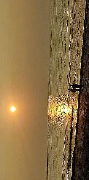 Profile photo for Hitakshi Lade