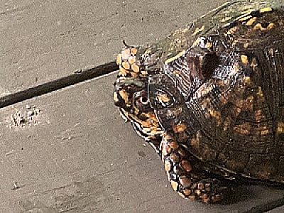 Profile photo for Sean Donnellan