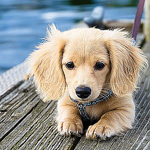 Profile photo for Finley Anderson