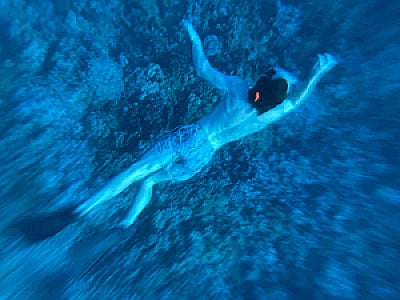 Profile photo for Jared Carlson