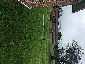 Profile photo for Apple Bottom