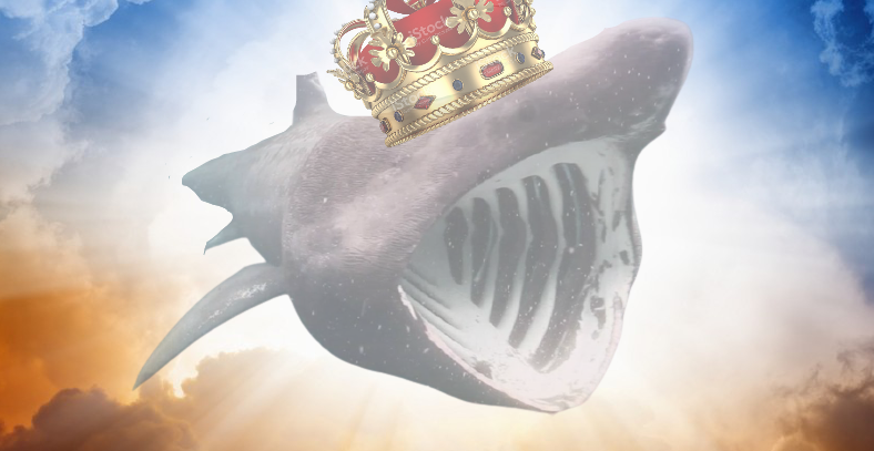 Profile photo for Jonah Levin