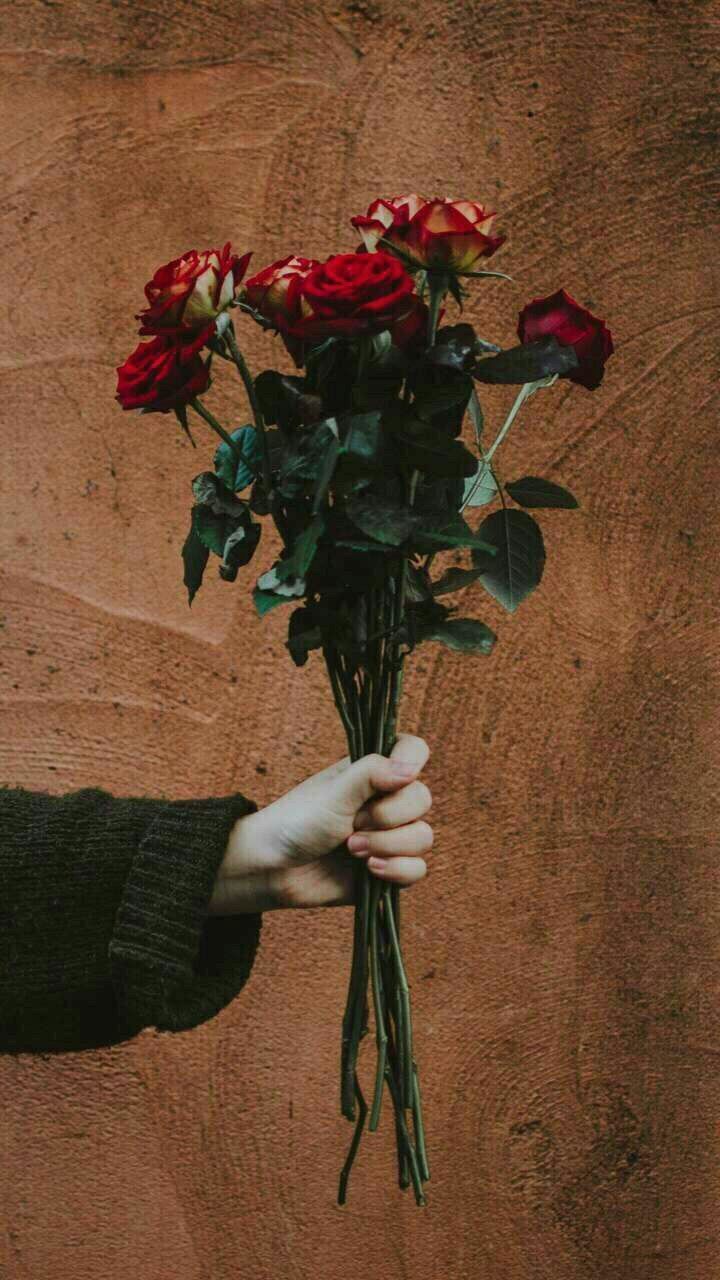 Profile photo for Saja Yosry Abdullah Mohammed