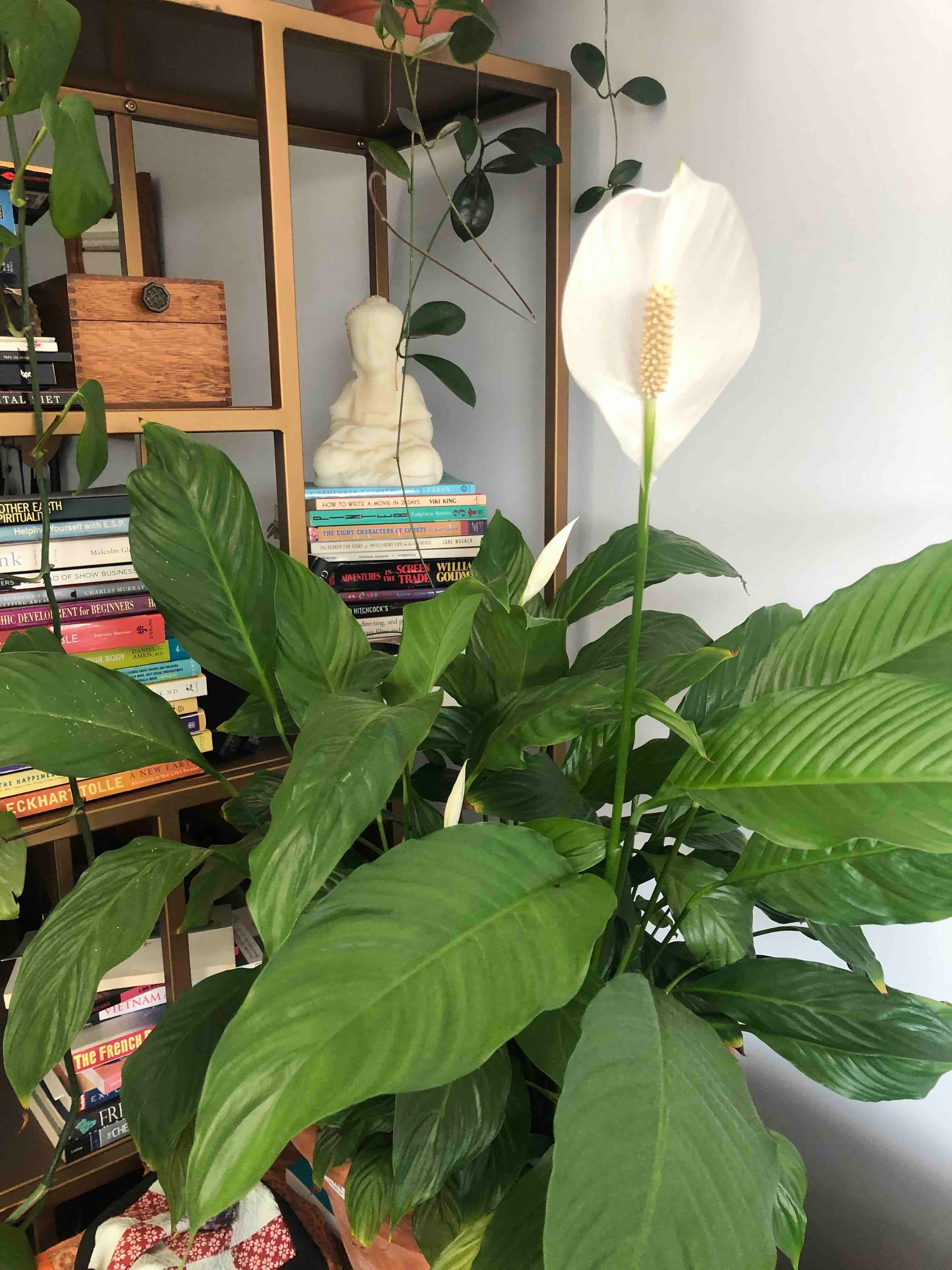 Profile photo for Erin Coker