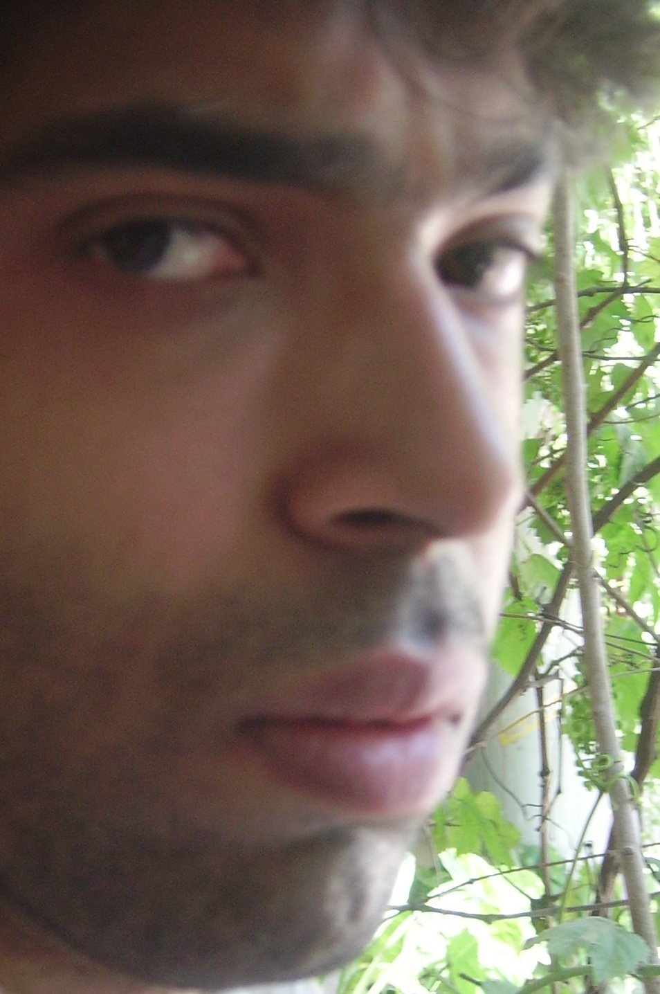 Profile photo for Muhammad Jawad Awan