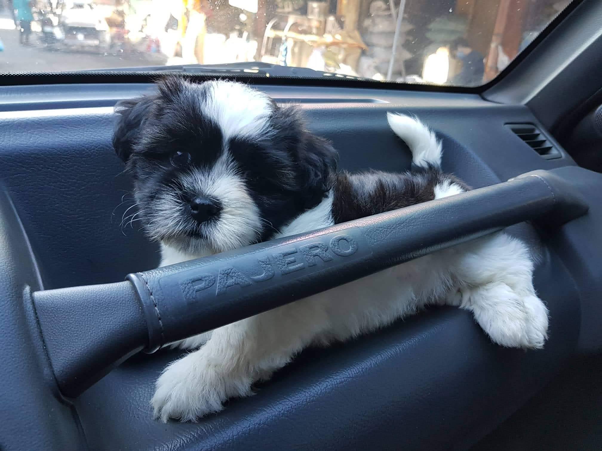 Profile photo for Joseph Buen Jr.