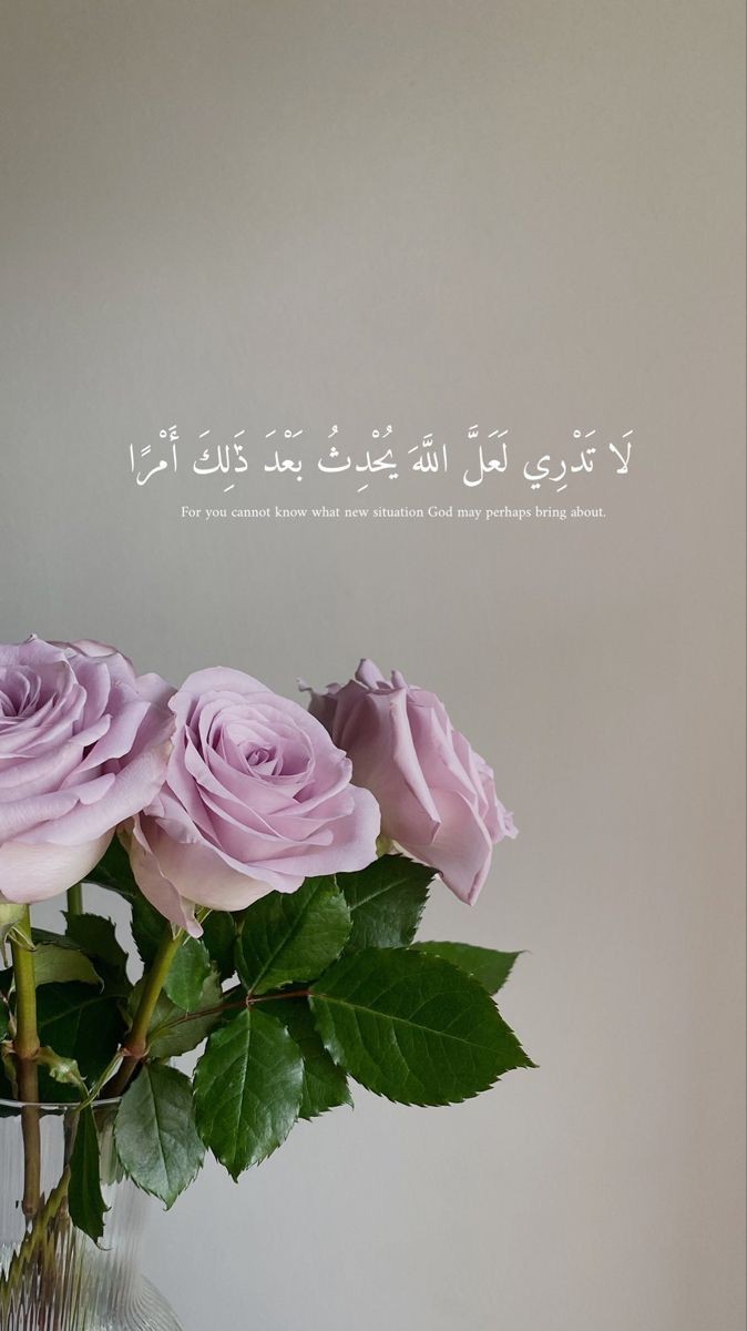 Profile photo for Nour Mouner