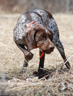 Profile photo for Brooke Zerr