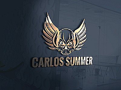 Profile photo for Carlos Summer