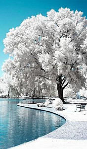 Profile photo for Ikram CHAMKAR