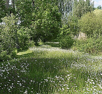 Profile photo for Ashlee Van Spronsen