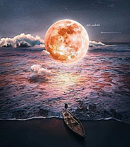 Profile photo for عبد الرحمن محمد شوقي محمود