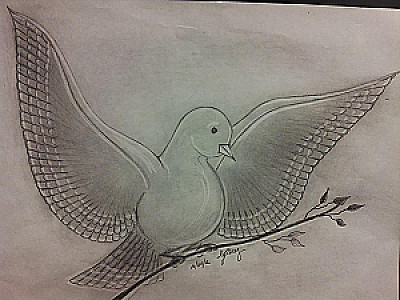 Profile photo for Inger Jo Perez