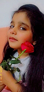 Profile photo for Irja Shiraz