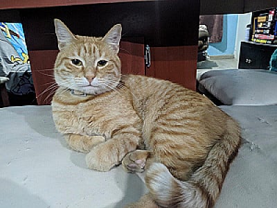 Profile photo for agustin ayala