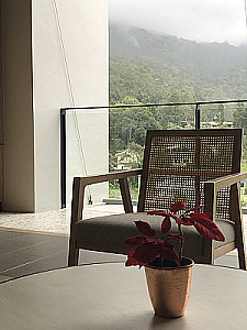 Profile photo for Ella Noice