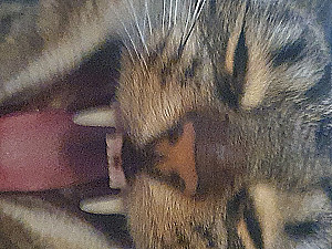 Profile photo for Max Bejnar