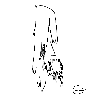 Profile photo for Carmine Falcone