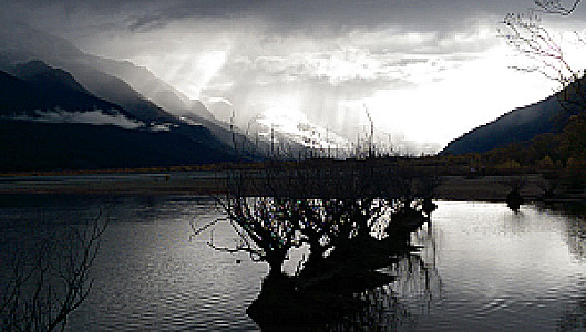 Profile photo for Tammy Leon