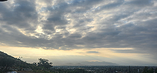 Profile photo for David Woodard