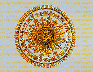 Profile photo for Syd Q