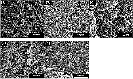 Profile photo for ruthra dharshini