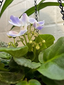 Profile photo for Naomi Preston