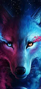 Profile photo for Rasha El Tabie