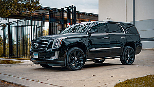 Profile photo for PETER MICHIRA