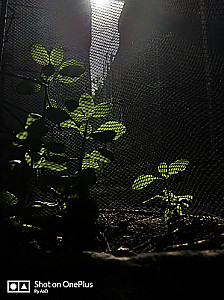 Profile photo for Aadib Aadib