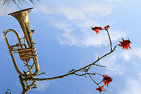 Profile photo for Yasmine Atlas