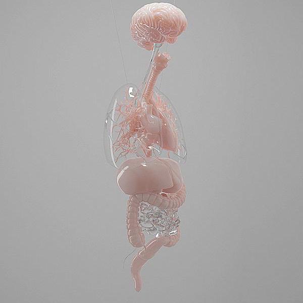 Profile photo for JACKTON ONYANGO