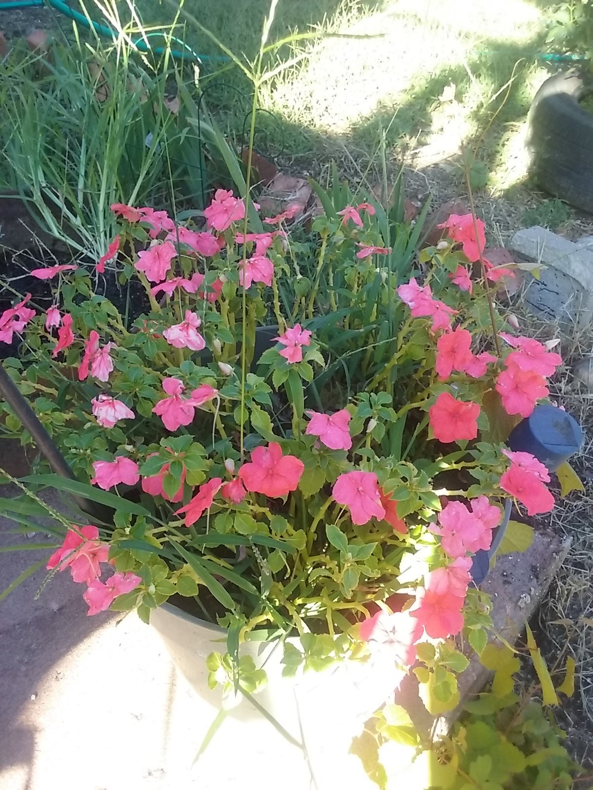 Profile photo for Rebekah Lacer Doolittle