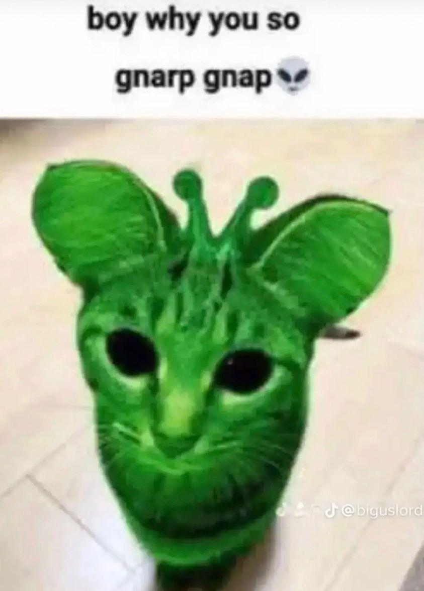 Profile photo for Chelsea Snow