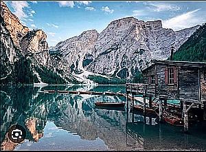 Profile photo for shad khan