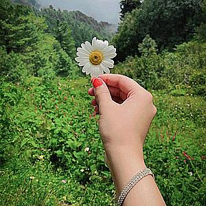 Profile photo for Khushboo Zahra