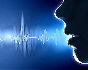 Profile photo for ZAK FF