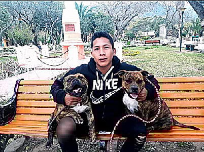 Profile photo for Ciccio Guillen