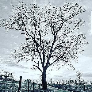 Profile photo for Vijay Rajbhar