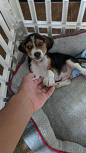 Profile photo for Kabir Nizar