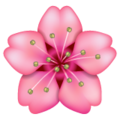 Profile photo for P R.