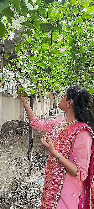 Profile photo for Sneha Potekar