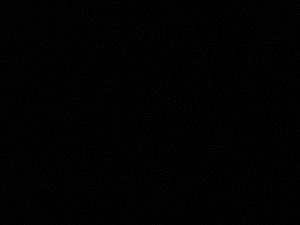 Profile photo for Amal Hamad