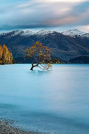 Profile photo for Moin Rza